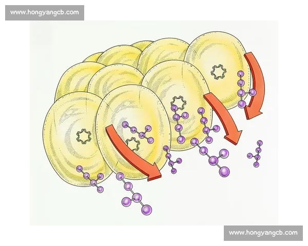 从数据分析到实战应用深入解读vs皮尔森相关系数方法原理与场景